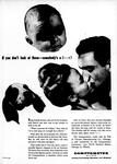 1946-05-06 Newsweek
