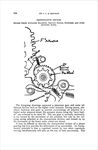 1917-04-10 Burroughs p12