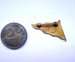 Comptometer Pin, back