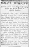 1911-01-31 Belleville News Democrat (Illinois)