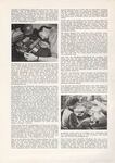 articlecristelhamann05