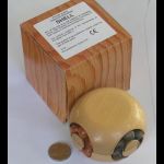 Shell