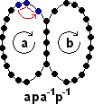 Case (2+,2+,3+) cycle